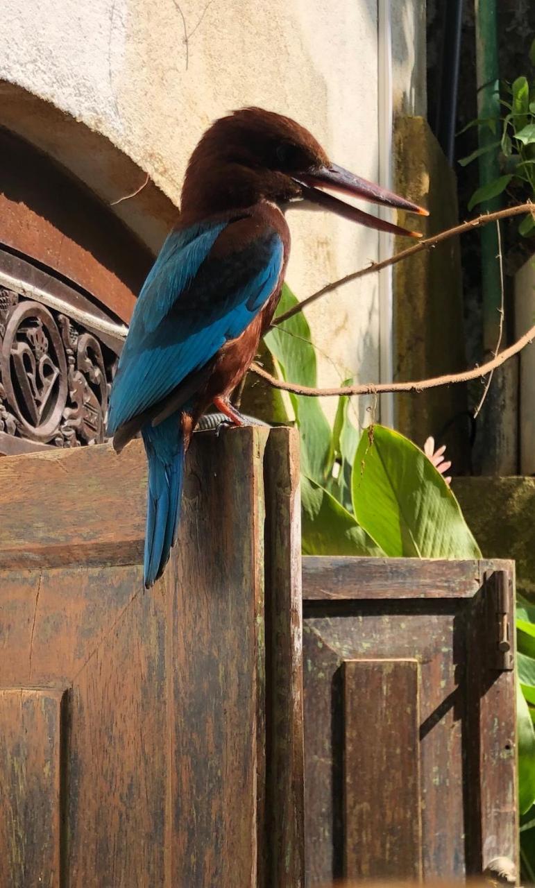 Prince Of Galle Esterno foto